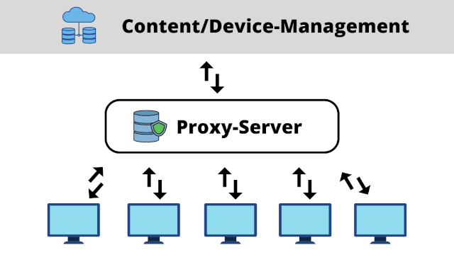 Schaubild Proxy